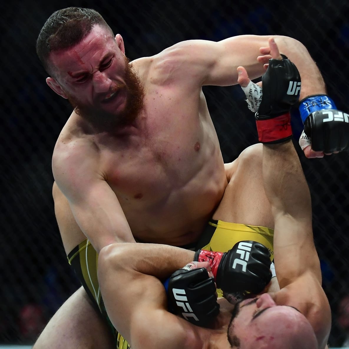 UFC 316 Preview and Predictions: The MMA Mashup