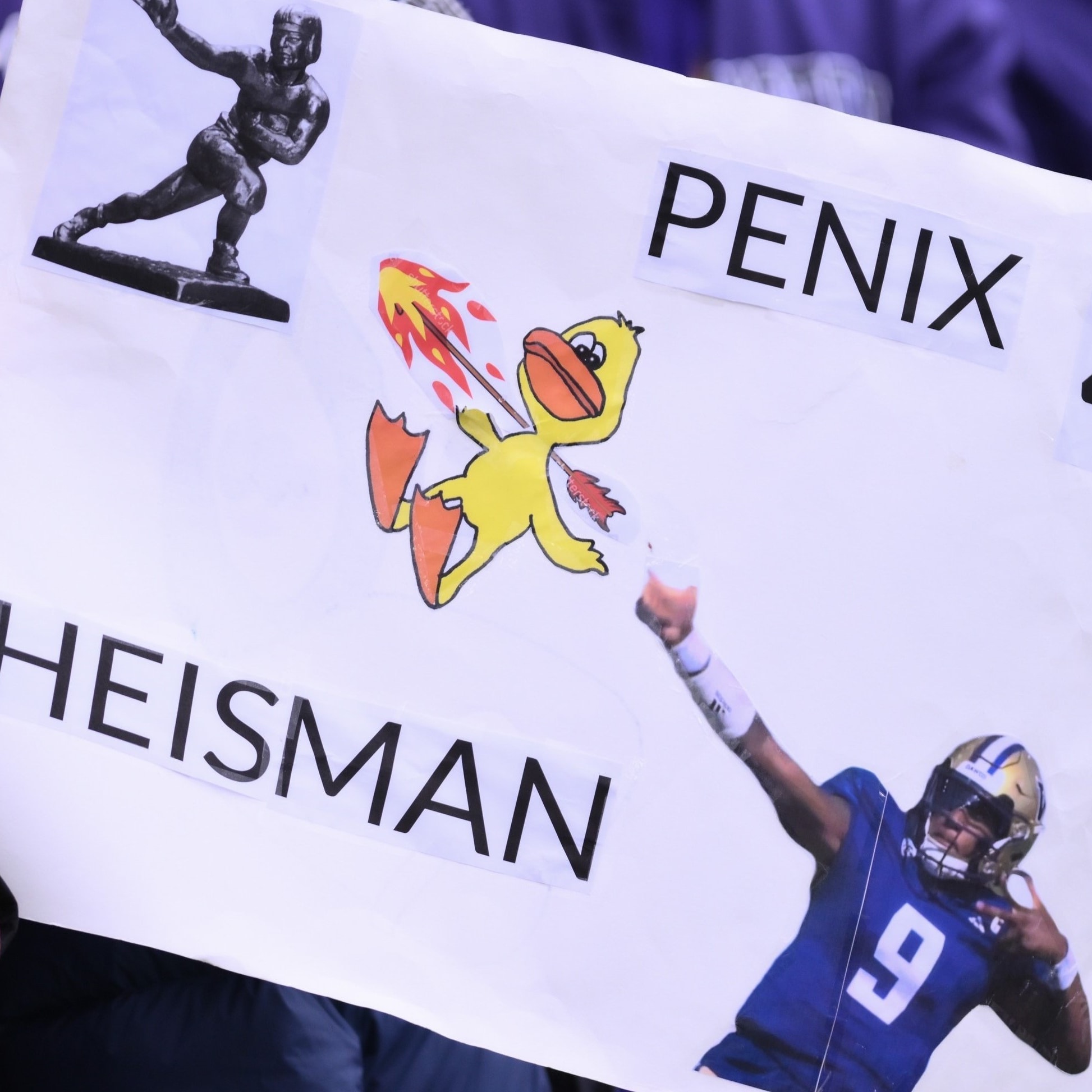 College Football Picks: Week 7 Recap and Best Bets for Week 8
