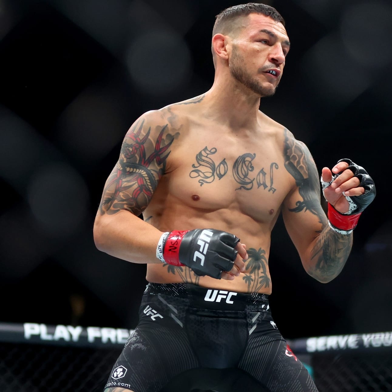 UFC Tampa Preview and Predictions: The MMA Mashup
