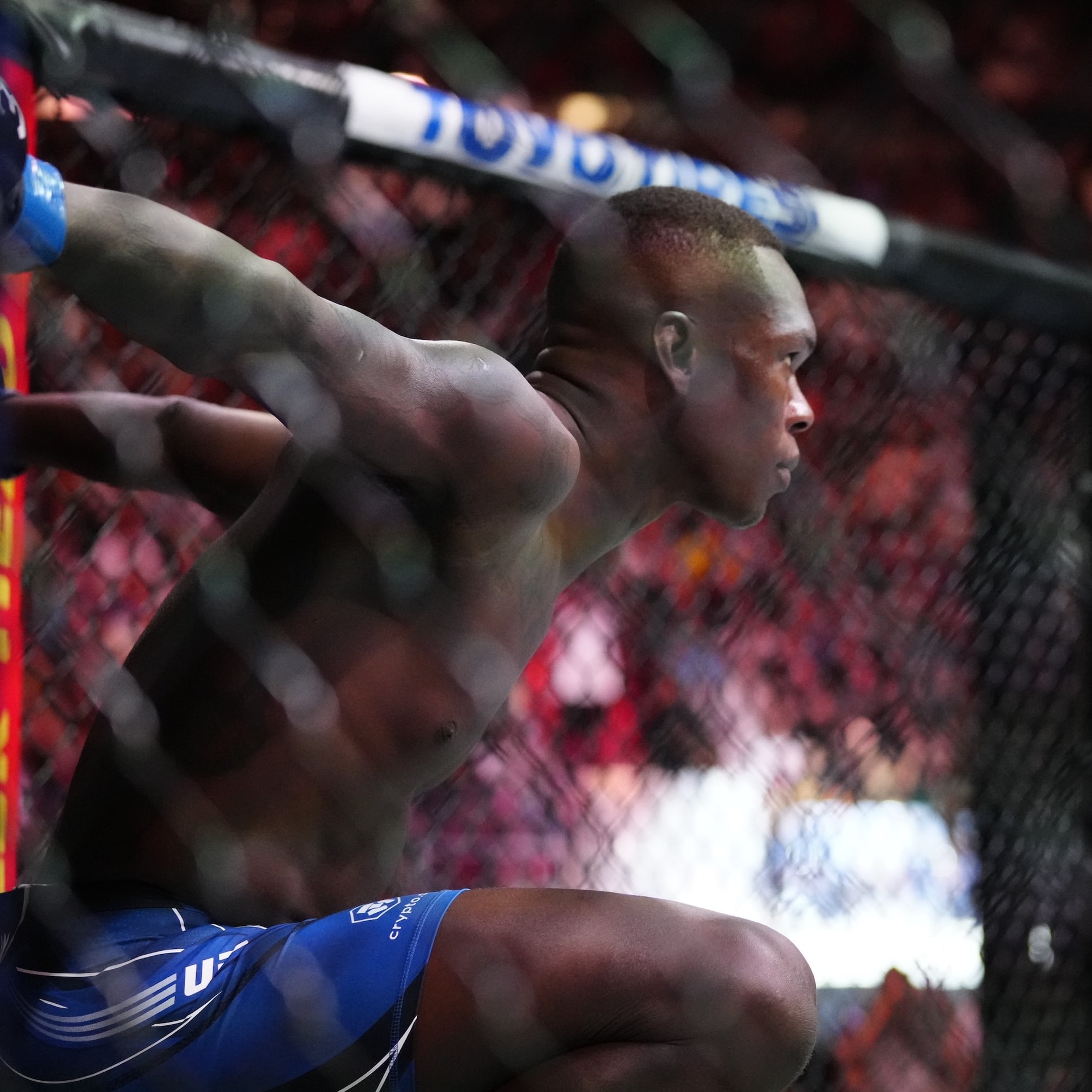 UFC 293 Preview and Predictions: The MMA Mashup