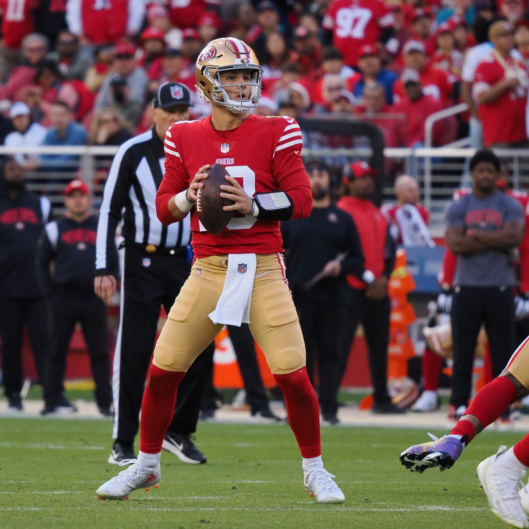 Staff Picks: Week 14