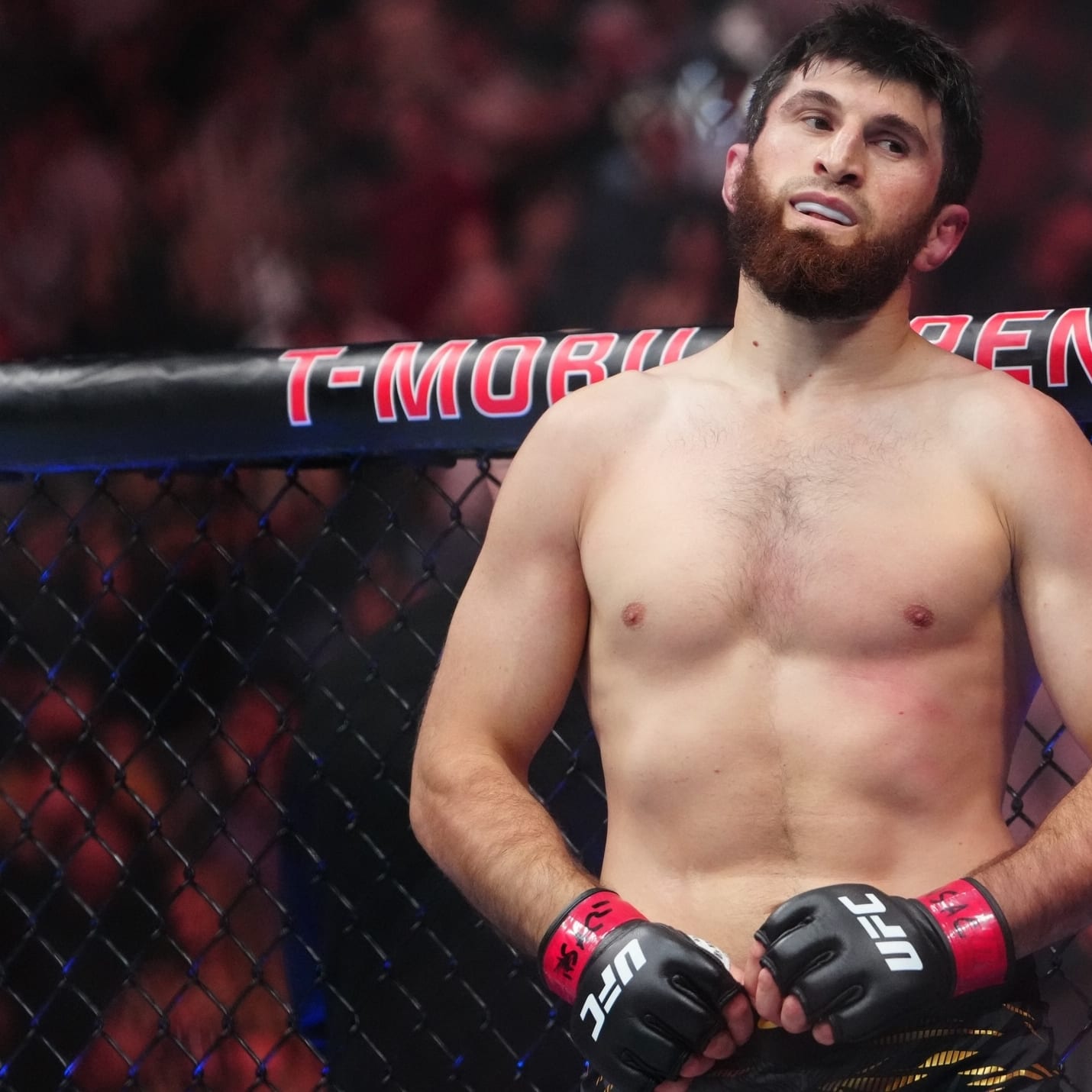 UFC Predictions: Preview, Picks & Props for UFC Abu Dhabi: The MMA Mashup