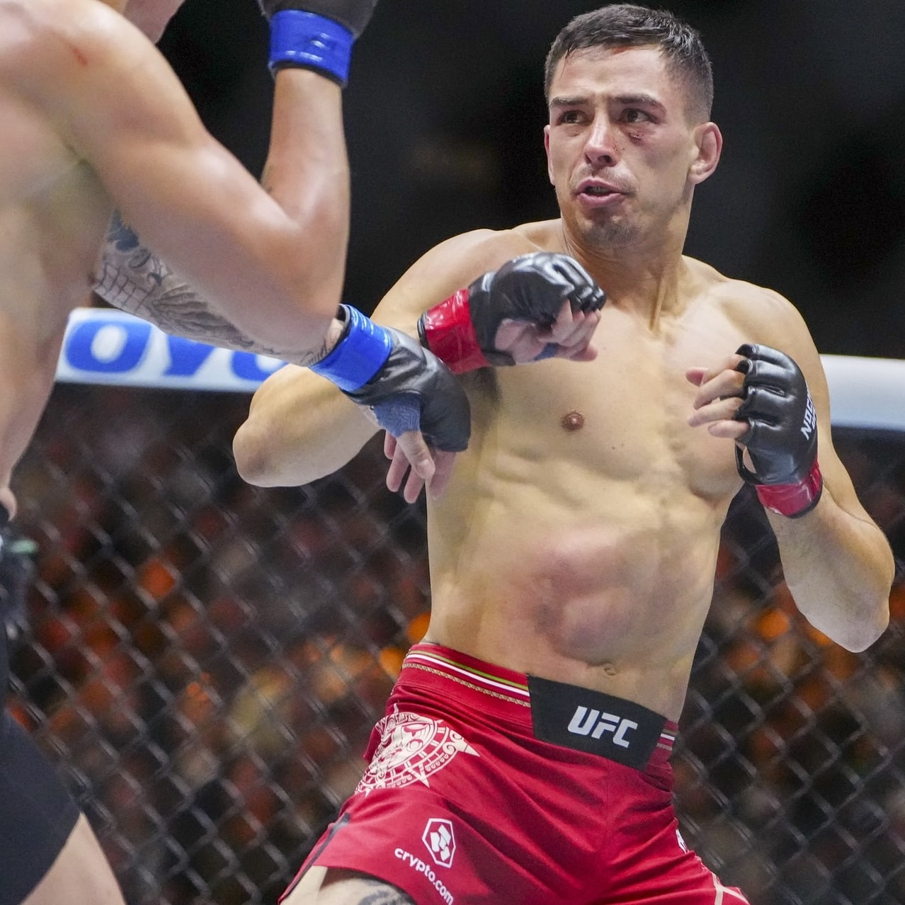 DraftKings UFC Picks: UFC Baku DFS Preview