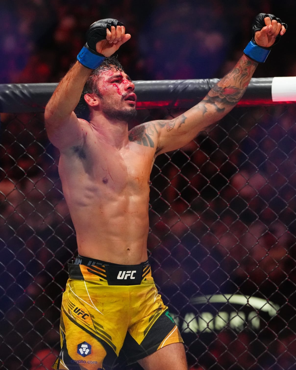 UFC 323 Preview and Predictions: The MMA Mashup