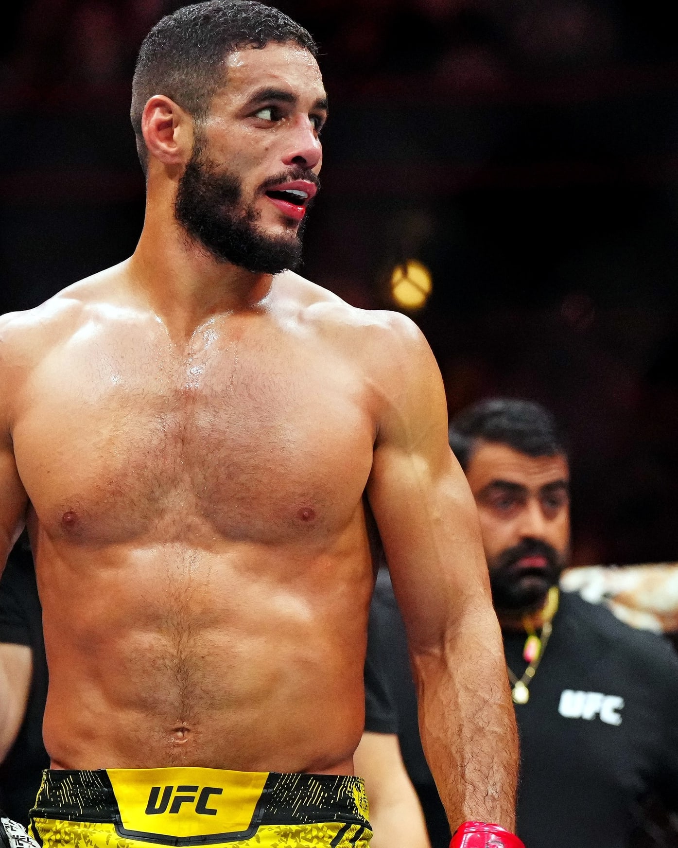 UFC Predictions: Preview, Picks & Props for UFC Vegas 118: The MMA Mashup