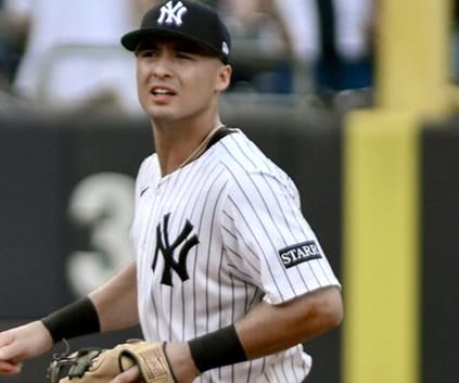 Fantasy Baseball Lineup Lowdown: American League Trends