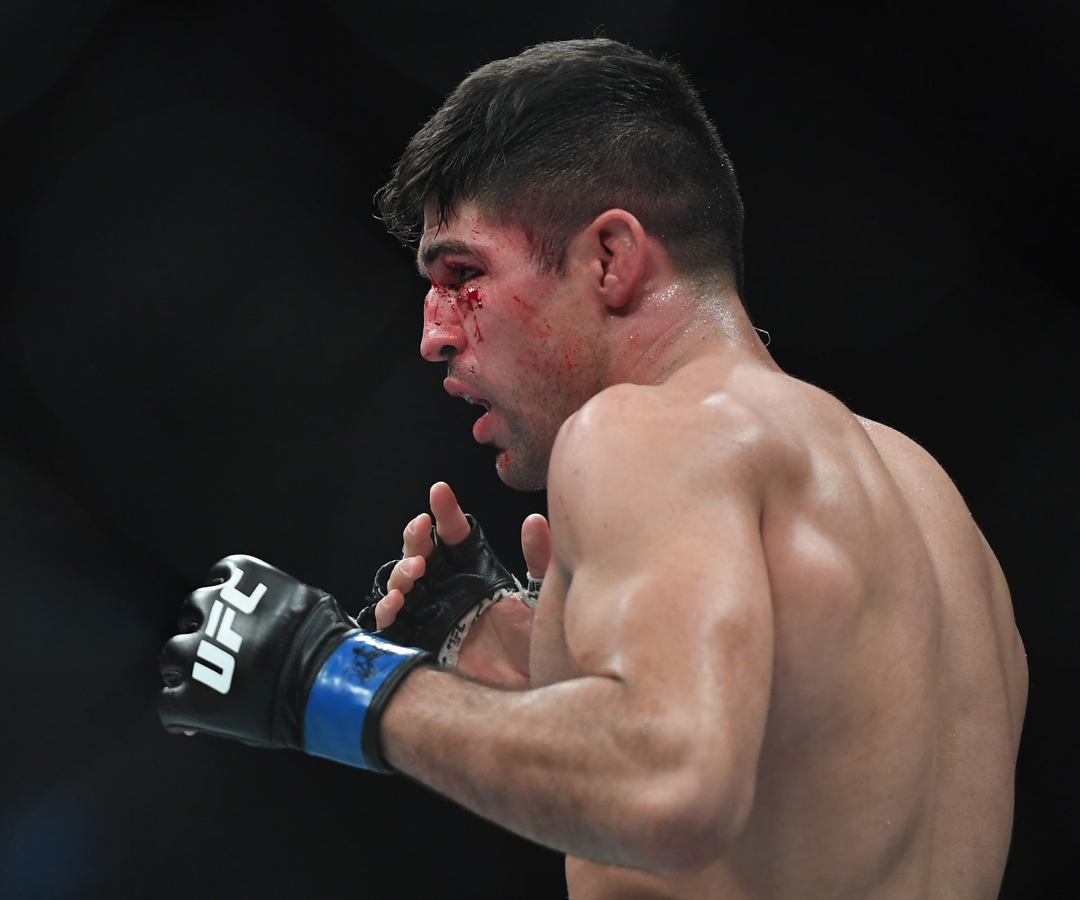 UFC Vegas 78 Best Bets: Picks, Odds, and Predictions