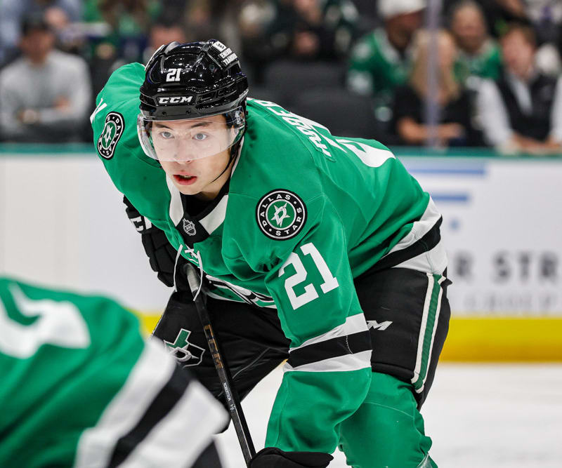 NHL DFS Picks: DraftKings Top Plays and Strategy for Tuesday, November 25