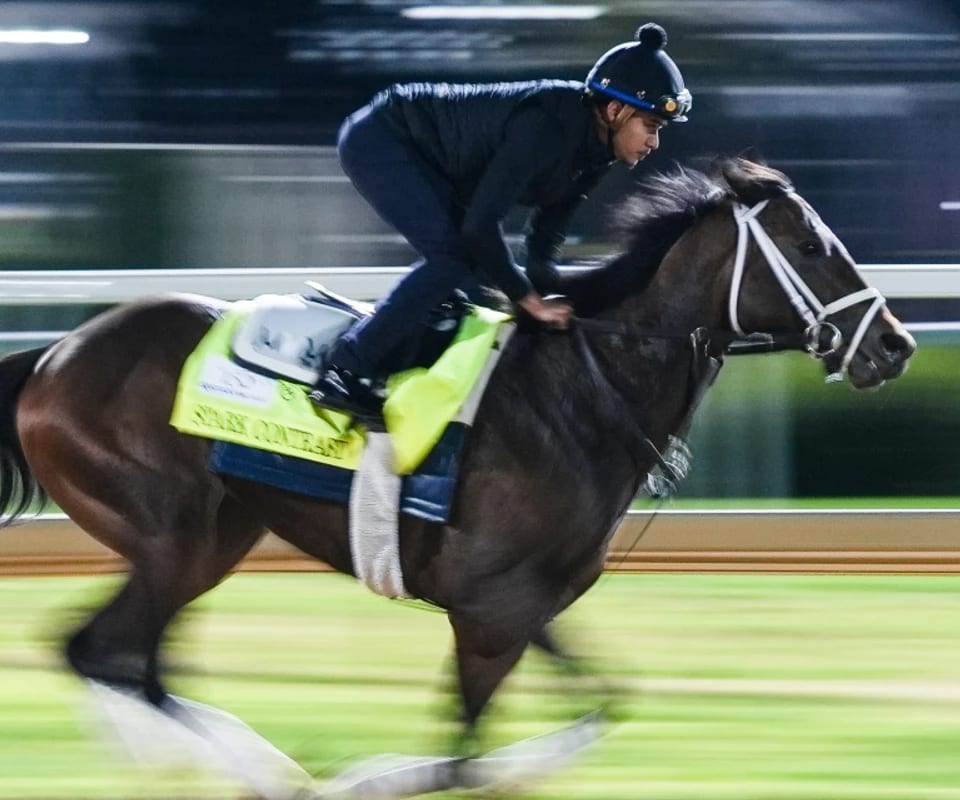 2026 Preakness Stakes Betting: Odds, Predictions and Best Bets