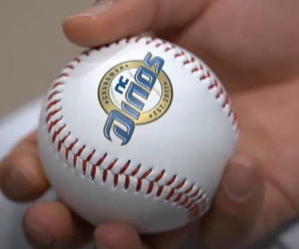 Dream11 Fantasy KBO: Dinos at Wiz