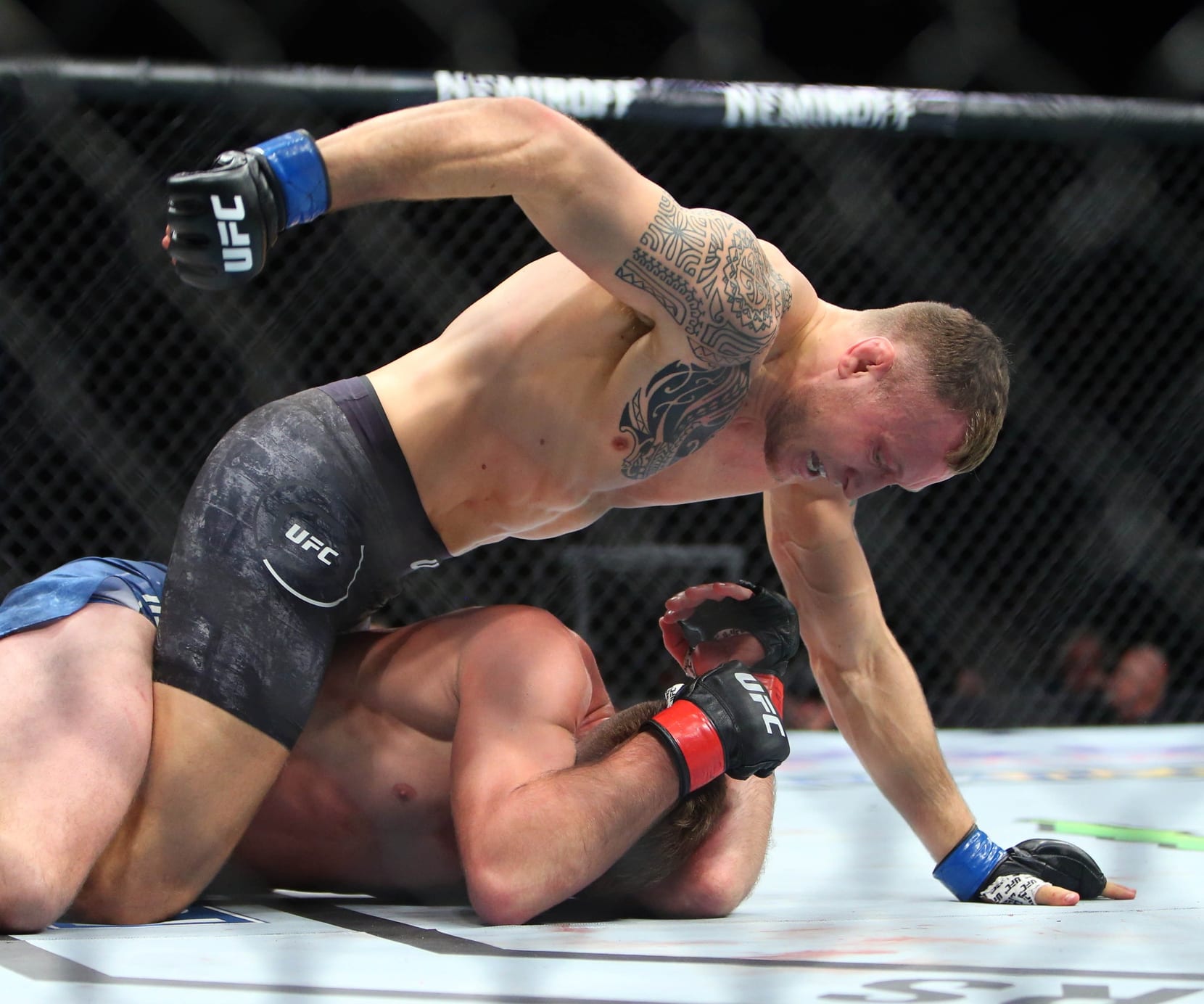 UFC London DFS Preview & Predictions: The MMA Mashup