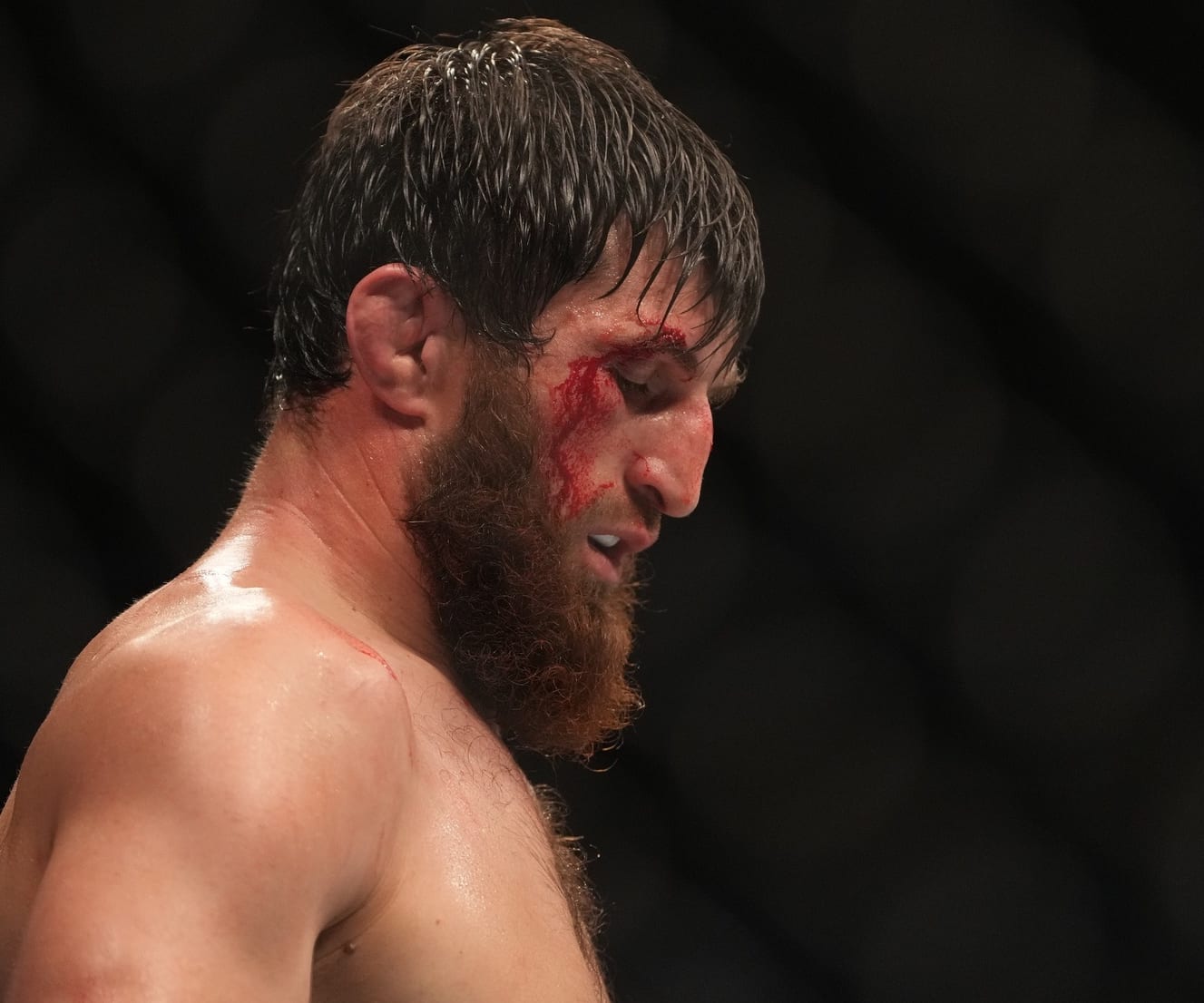 UFC Vegas 84 Preview and Predictions: The MMA Mashup