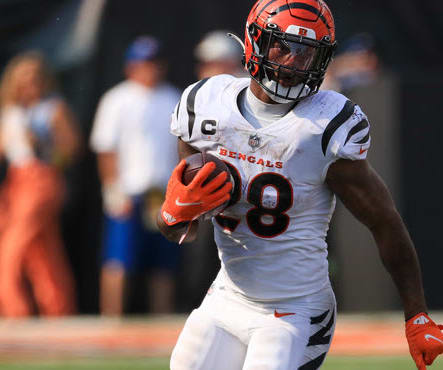 Gameday Injuries: Week 14