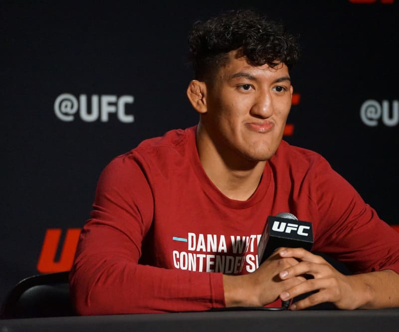 UFC 287 DFS Preview and Predictions: The MMA Mashup