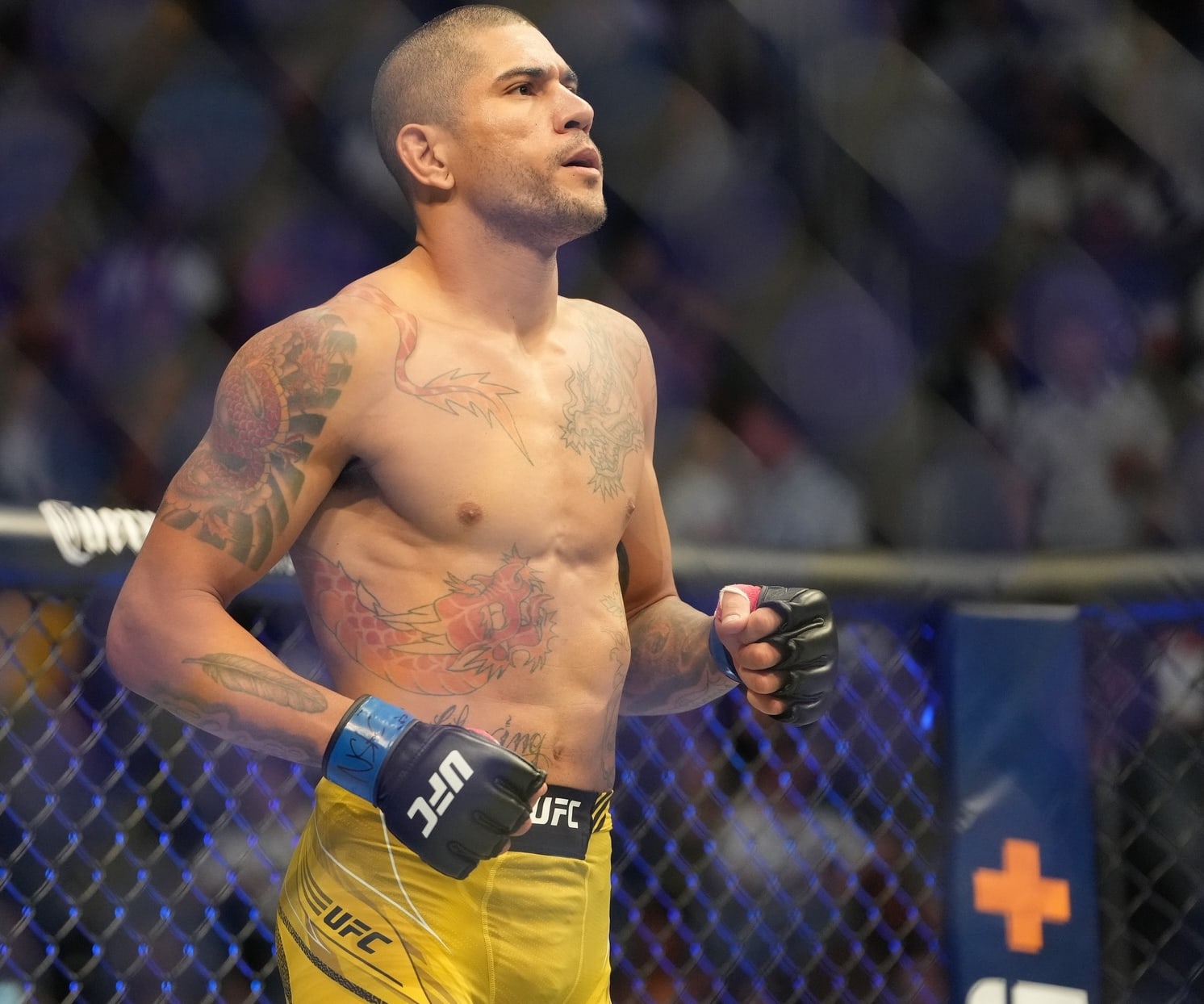 DraftKings MMA: UFC 303 DFS Preview
