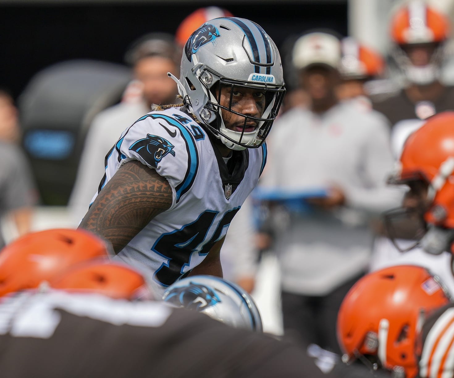 IDP Analysis: Week 11 Review