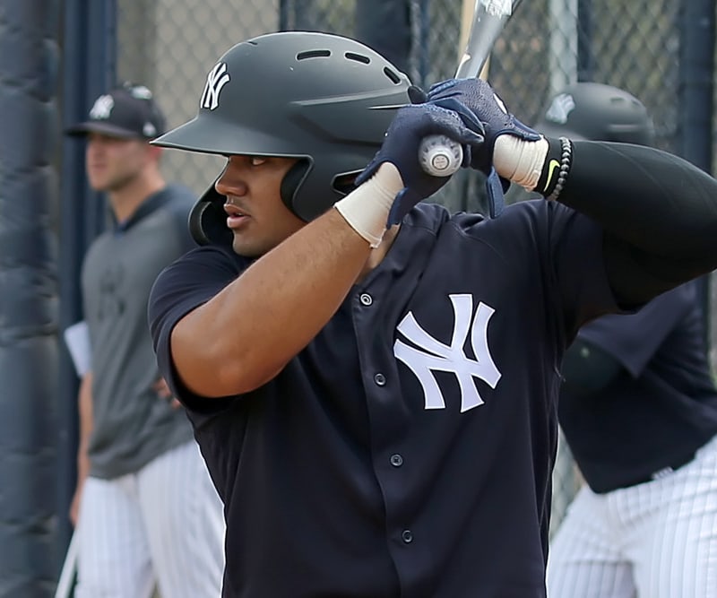 Farm Futures: 178 AL East Prospects You Need To Know