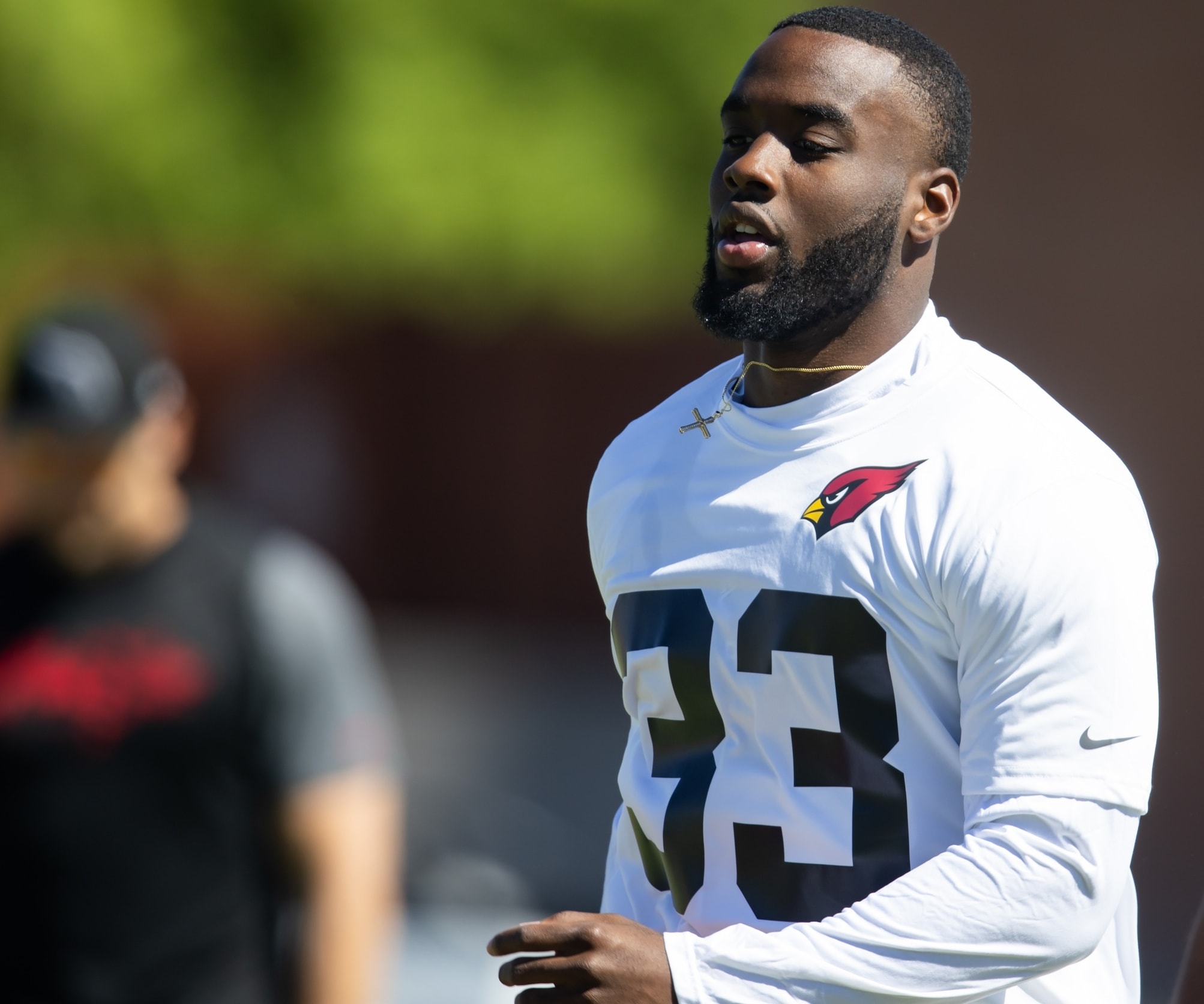 Best Backup Running Backs to Target in Fantasy Football: Ten Top Values