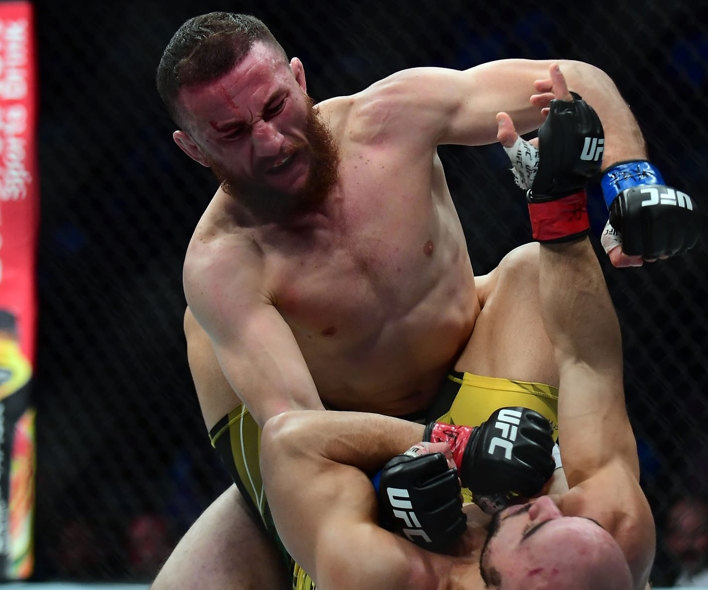 UFC 316 Preview and Predictions: The MMA Mashup