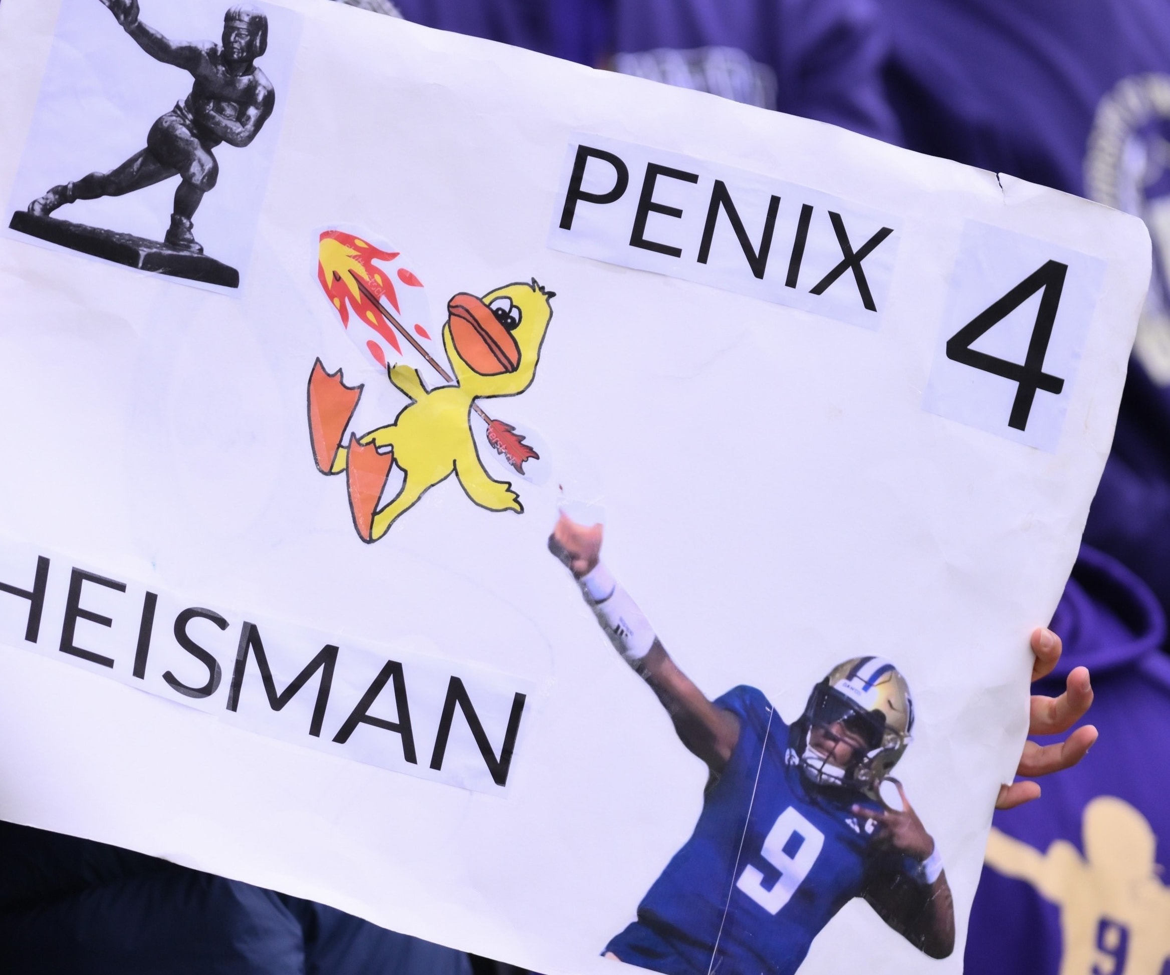 College Football Picks: Week 7 Recap and Best Bets for Week 8
