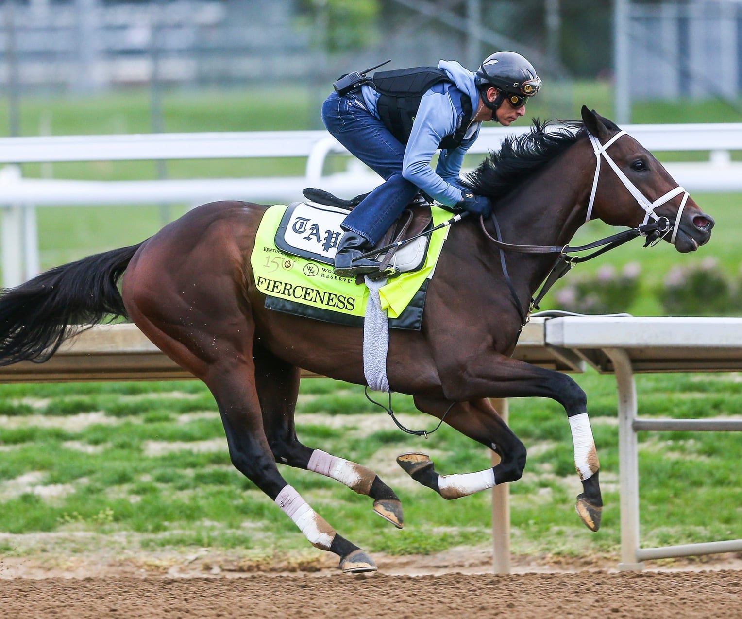 Kentucky Derby PIcks: 2024 Kentucky Derby Latest Odds, Picks and Best Bets