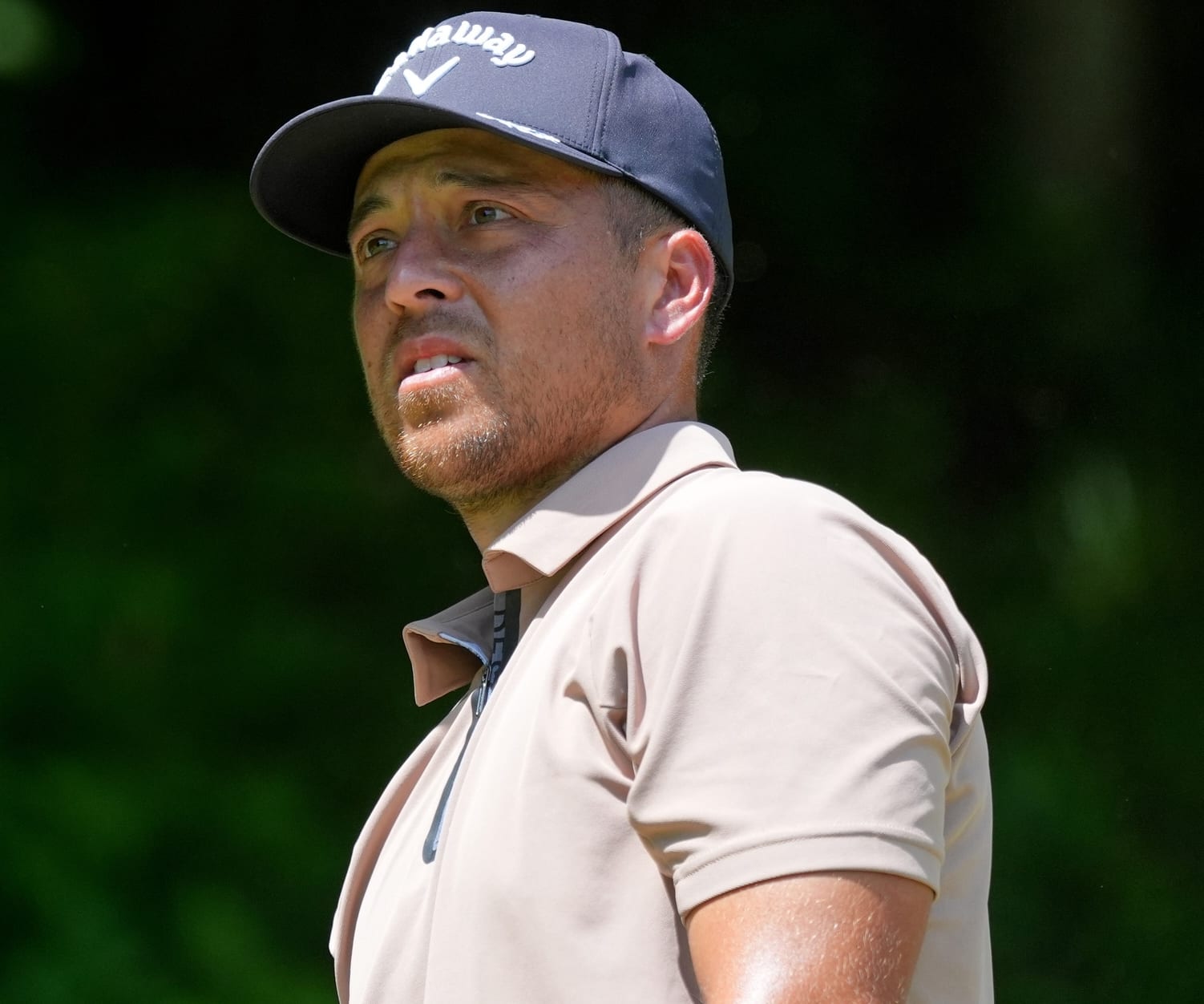 Golf One and Done Pool Expert Picks: PGA Championship