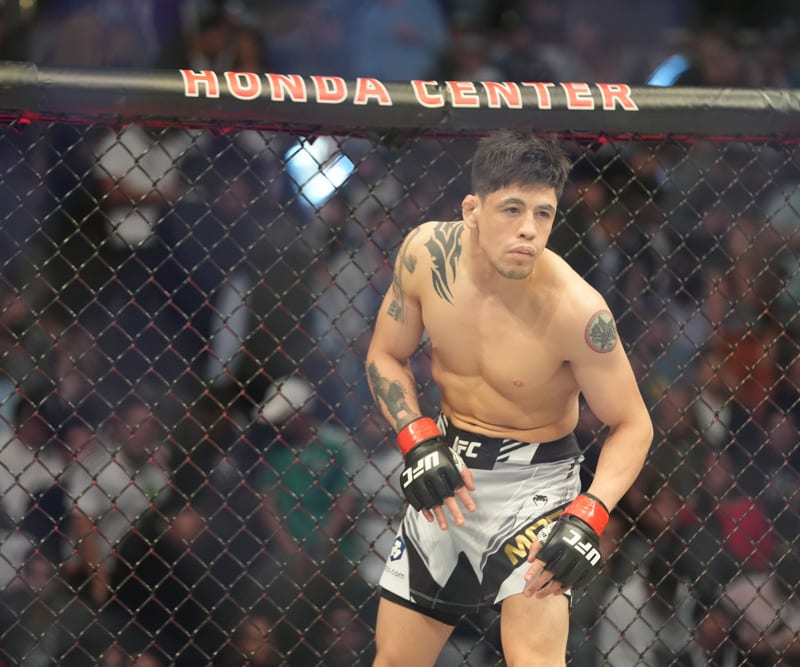 UFC 277 DFS Preview & Predictions: The MMA Mashup