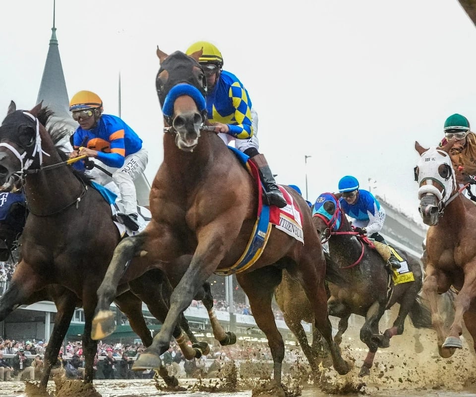 Horse Racing: 26 Years of Results, One Uncomfortable Truth