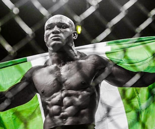 Fight Stat Wrap: UFC 245