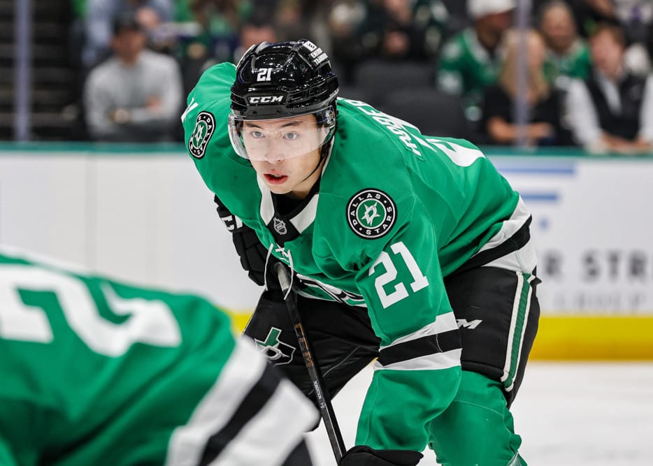 NHL DFS Picks: DraftKings Top Plays and Strategy for Tuesday, November 25