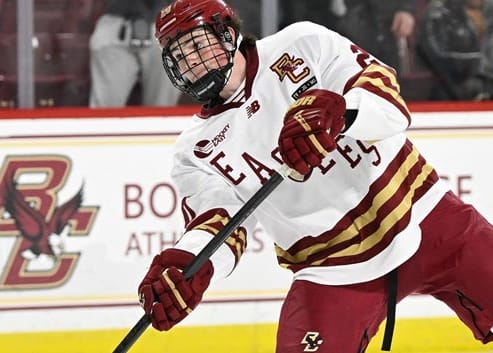 NHL Monthly Prospect Stock Report: November