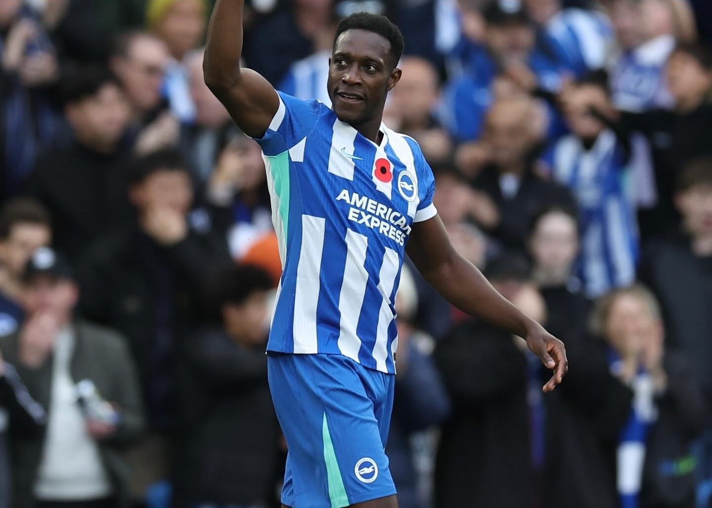 Brighton vs Aston Villa Preview, Odds, Lineups & Prediction | Premier League GW14