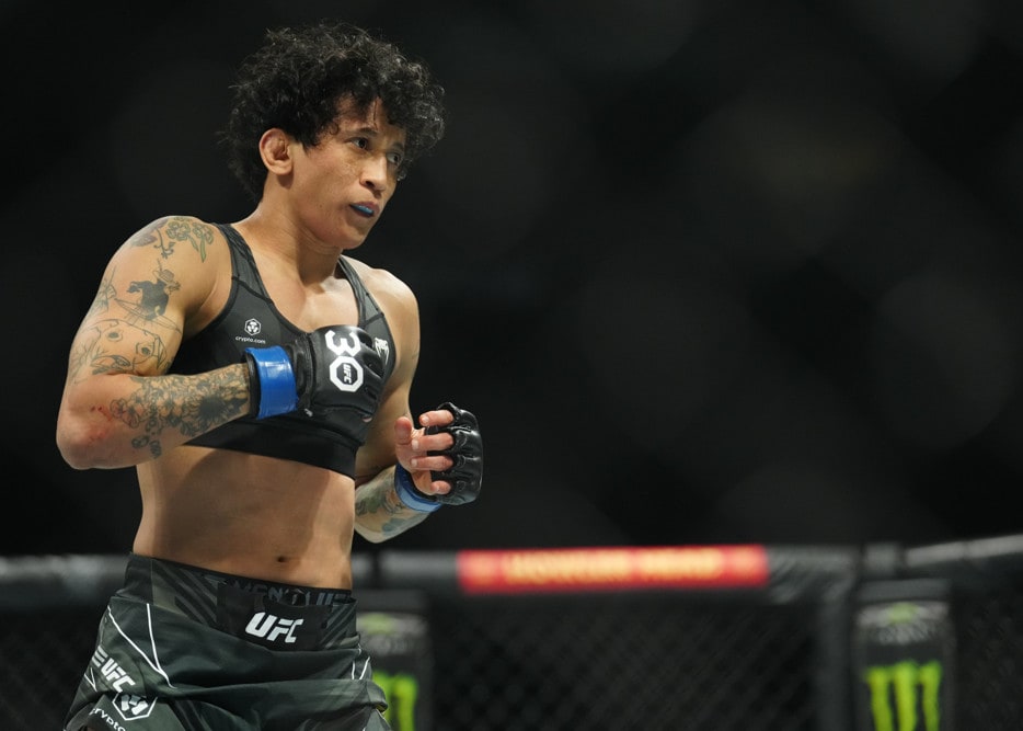 UFC 321 Preview and Predictions: The MMA Mashup