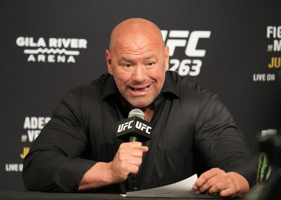 DraftKings MMA DFS Lineup Optimizer