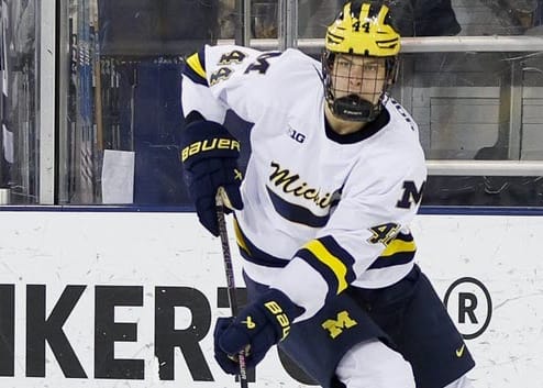 NHL Monthly Prospect Stock Report: December