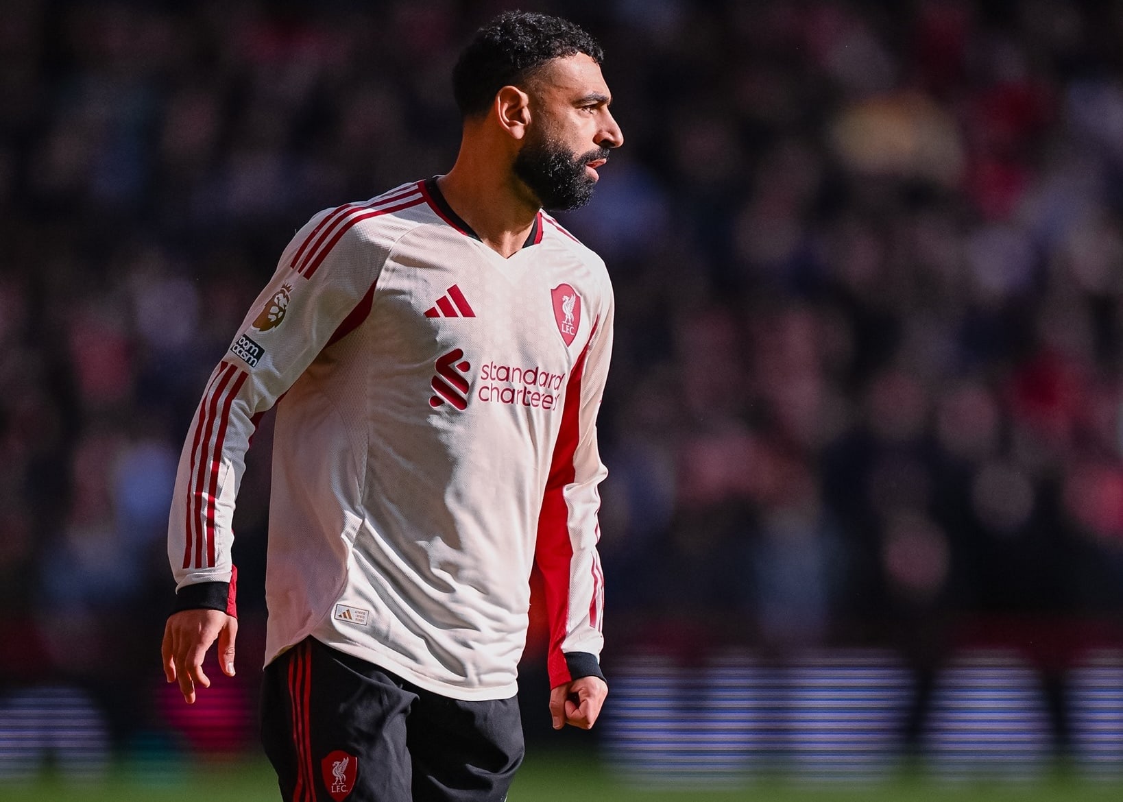 Best Free Hit Team for FPL Gameweek 29