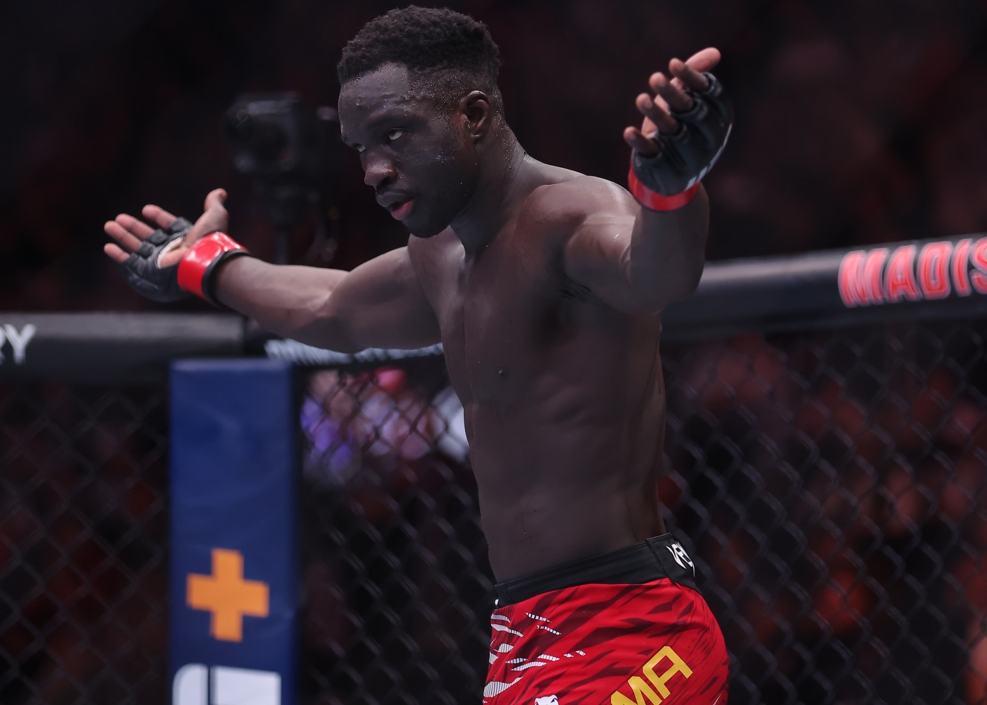 DraftKings UFC Picks: UFC Vegas 110 DFS Preview