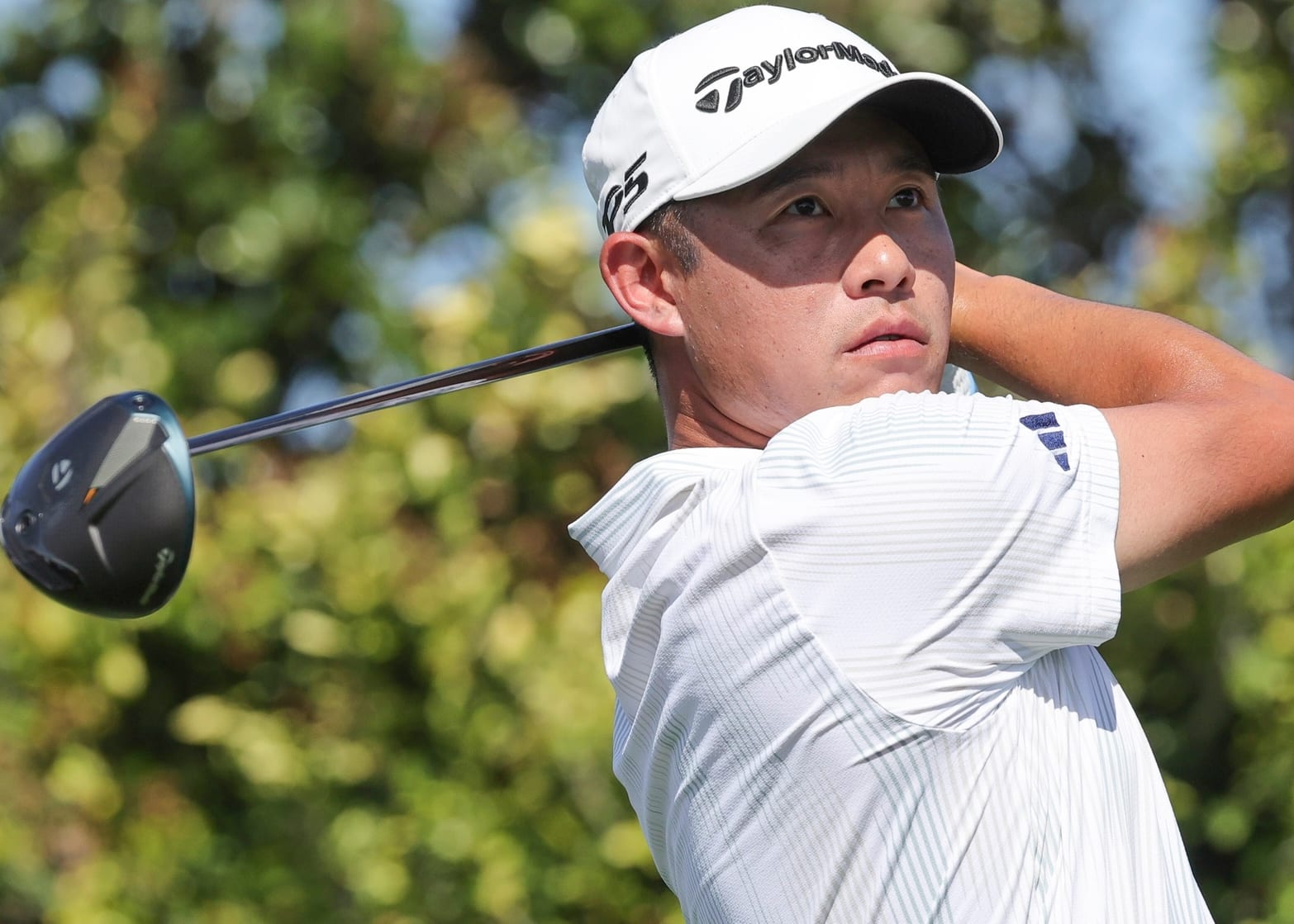 Golf One and Done Pool Expert Picks: THE PLAYERS Championship