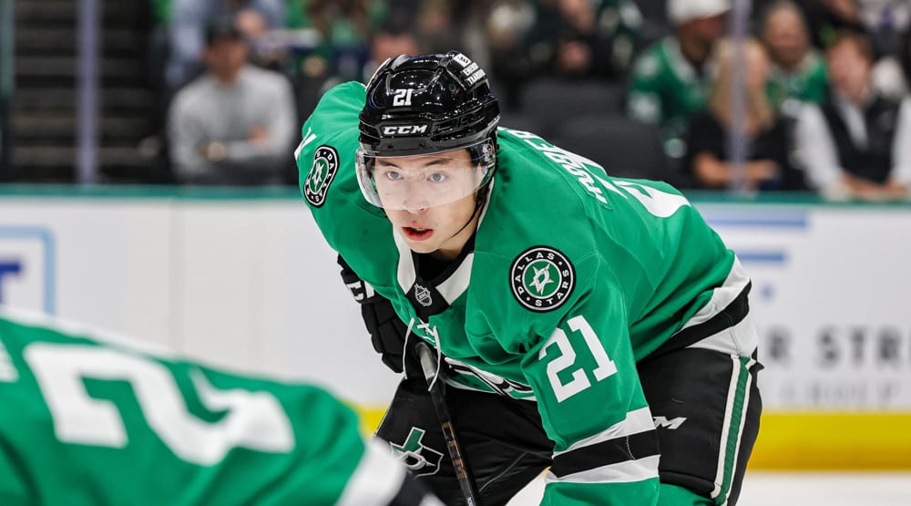 NHL DFS Picks: DraftKings Top Plays and Strategy for Tuesday, November 25