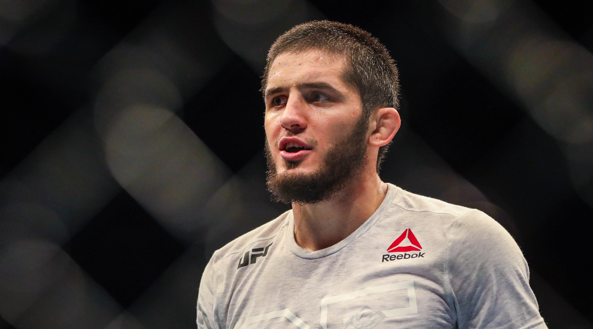 UFC 322 Expert Picks: Predictions for the Main Card