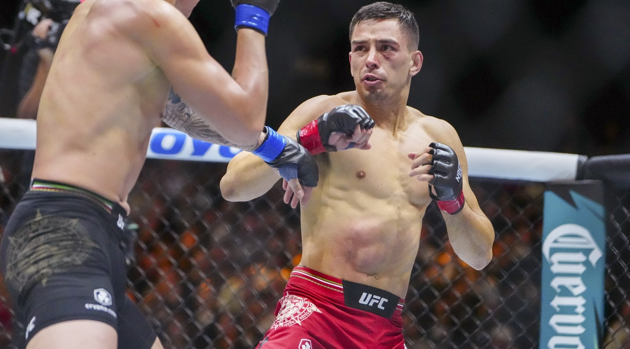 DraftKings UFC Picks: UFC Baku DFS Preview
