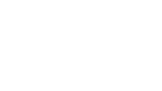 Pancreatic Cancer Action Network logo