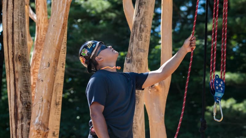 A young man standing outside with rope rigging in barkless trees looking up towards the sky. 