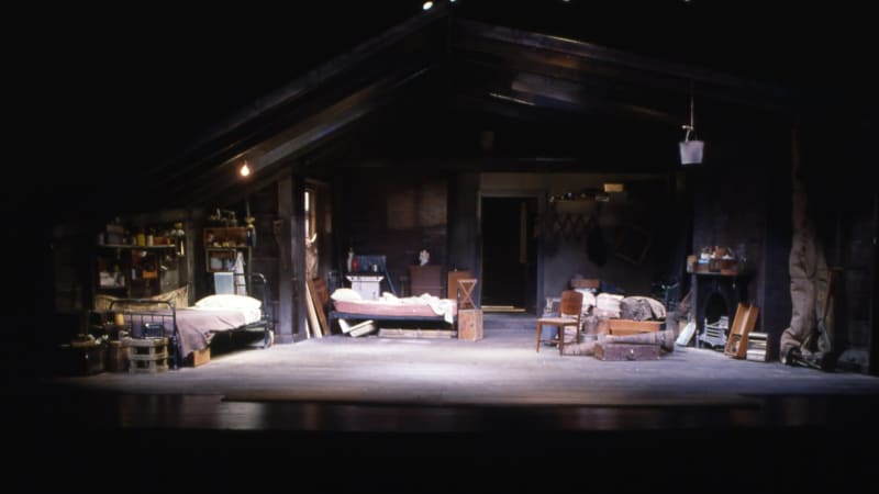 The interior of a rustic, cluttered home. The peaked roofline is visible. Two single beds and cluttered shelves are on the left. A fireplace is right. There is a door in the center of the back wall.