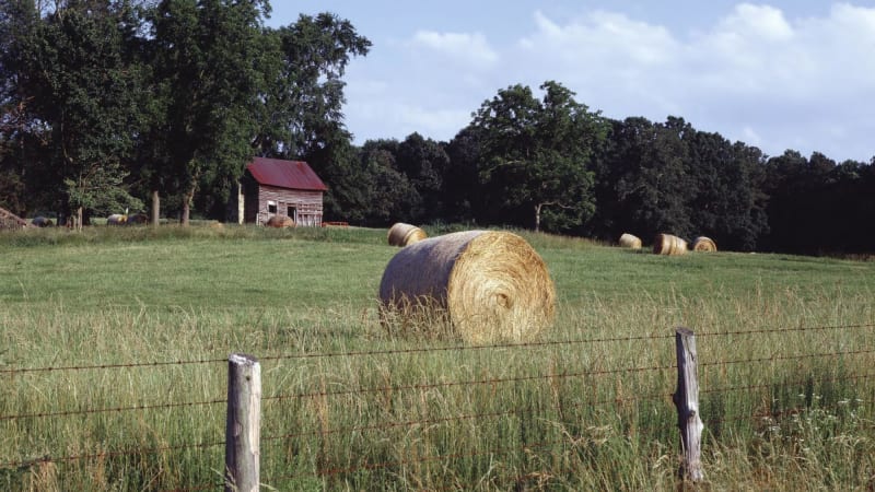 A green, gently sloped field with round, golden hay bales. Trees line the horizon near a small wooden cabin. 