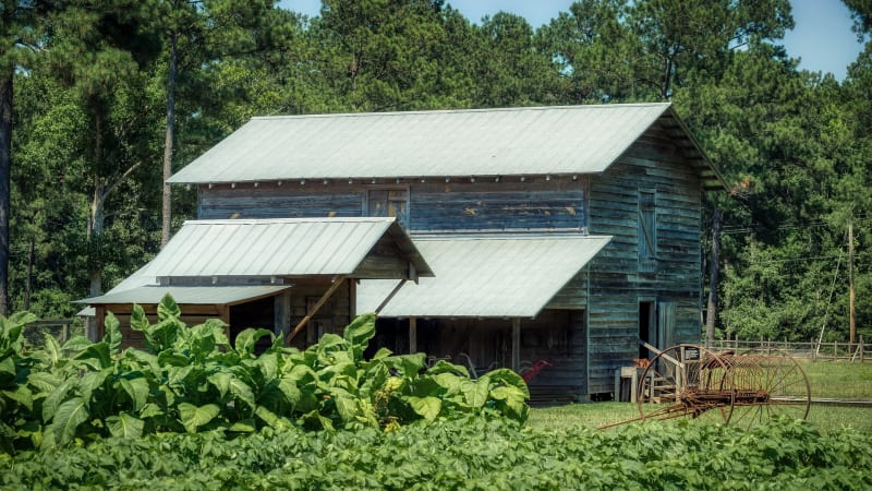 A two-story wooden barn with a metal roof sits among lush green plants.