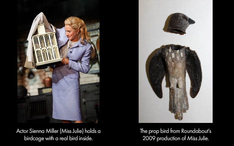 Actor Sienna Miller holding a birdcage with a real bird inside, and the prop bird from our 2009 production of MISS JULIE. 