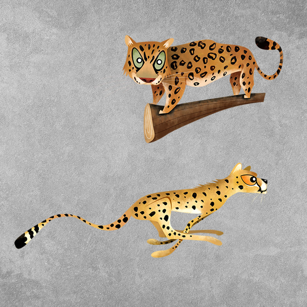 Leopard versus Cheetah: What's the Difference