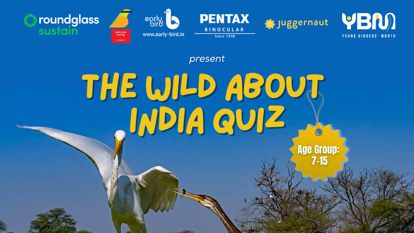 The Wild About India Quiz: Calling All Young Nature Lovers