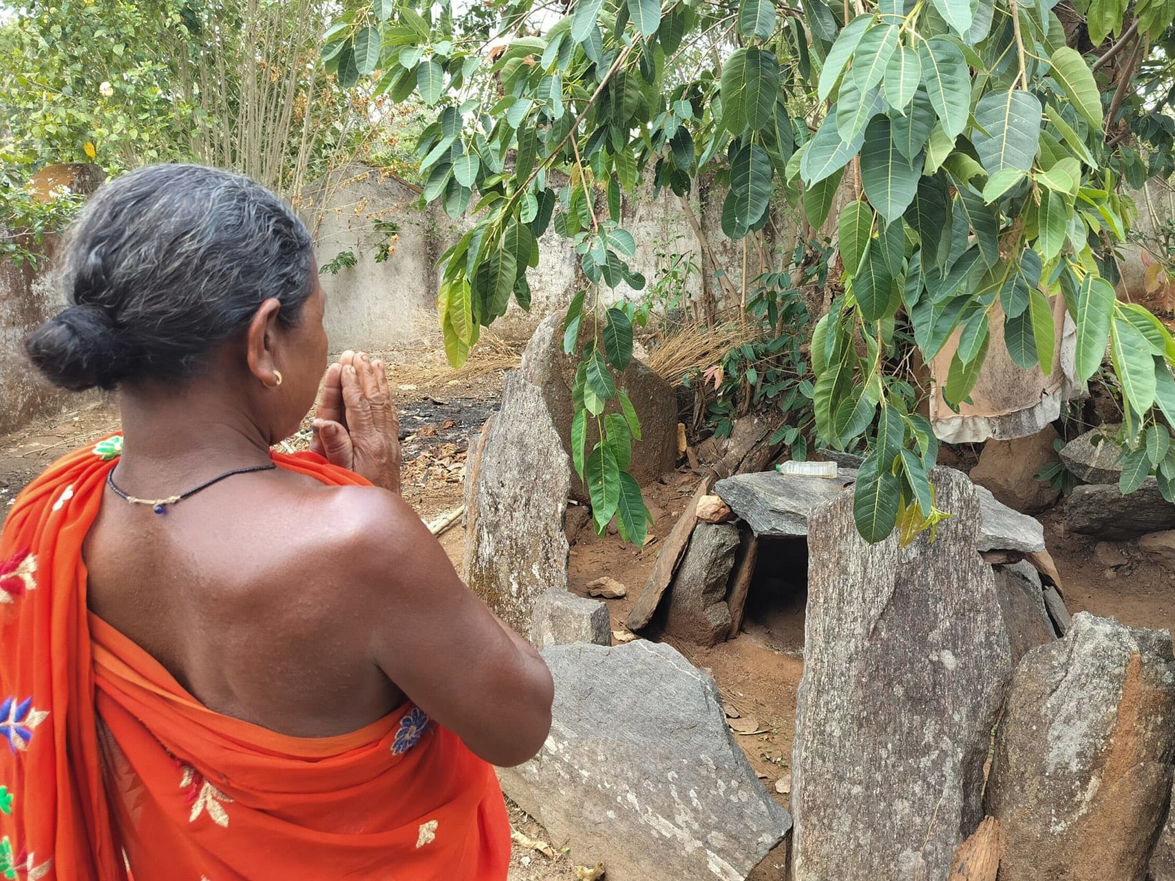 Little to Celebrate for Koraput Tribal Communities as Forest Commons Dwindle